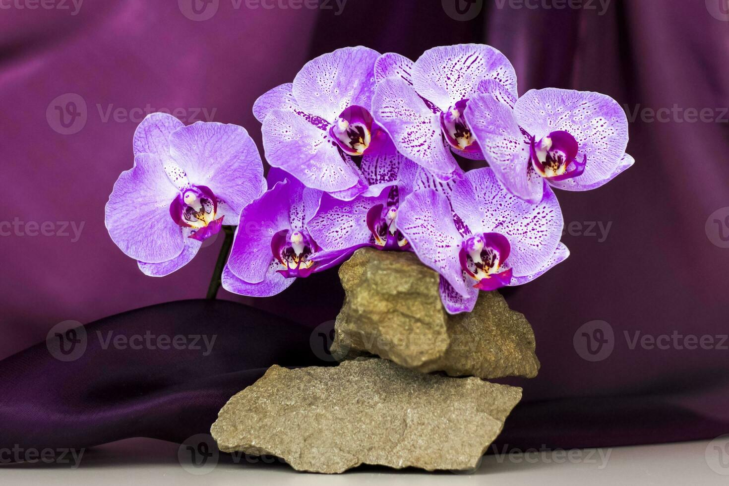 een teder achtergrond voor de presentatie van kunstmatig producten. stenen en orchidee bloemen. elegant uiterlijk, lay-out, persoonlijkheid. banier, een plaats voor de tekst. foto