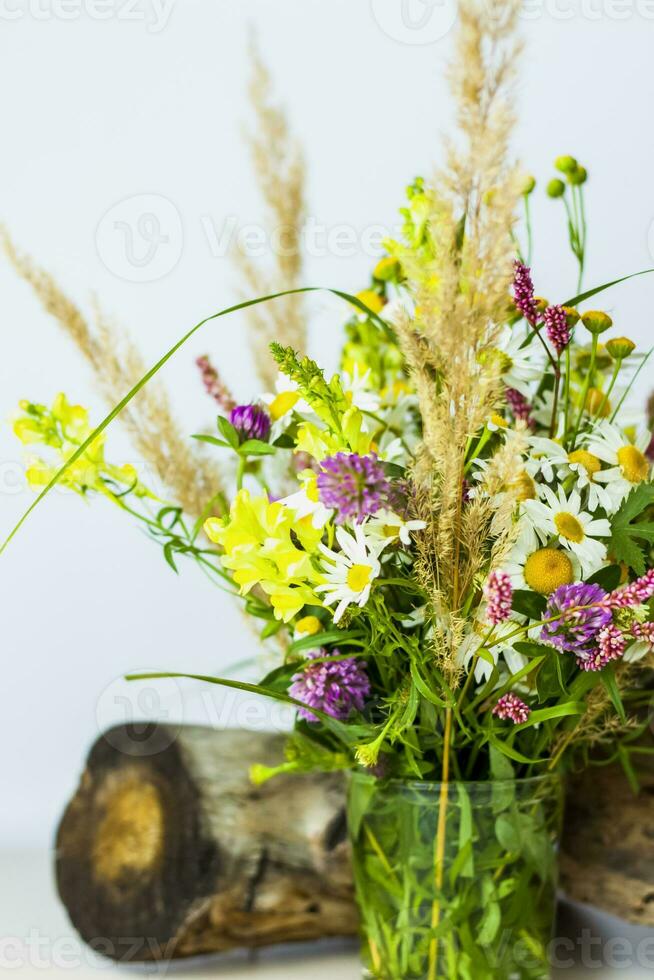 een droog stomp, boom schors en een boeket van wild bloemen in een klein glas vaas. elegant uiterlijk, lay-out, persoonlijkheid. foto