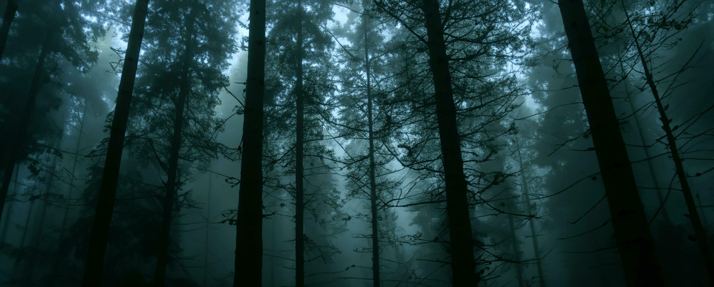 mist in de Woud hoog bomen panoramisch natuur landschap achtergrond regenwoud 3d illustratie foto
