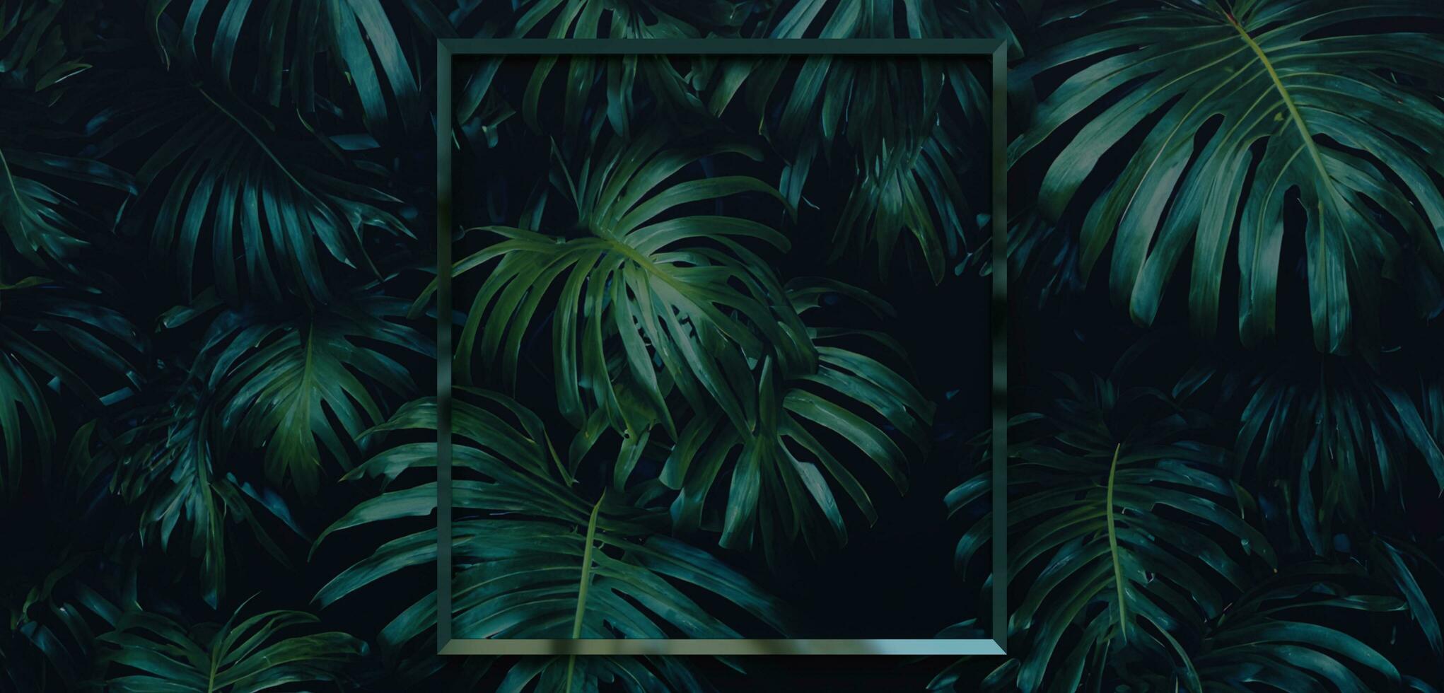 kader en bladeren spathiphyllum cannifolium concept groen abstract structuur met kader natuur achtergrond tropisch bladeren in Azië en Thailand 3d illustratie foto