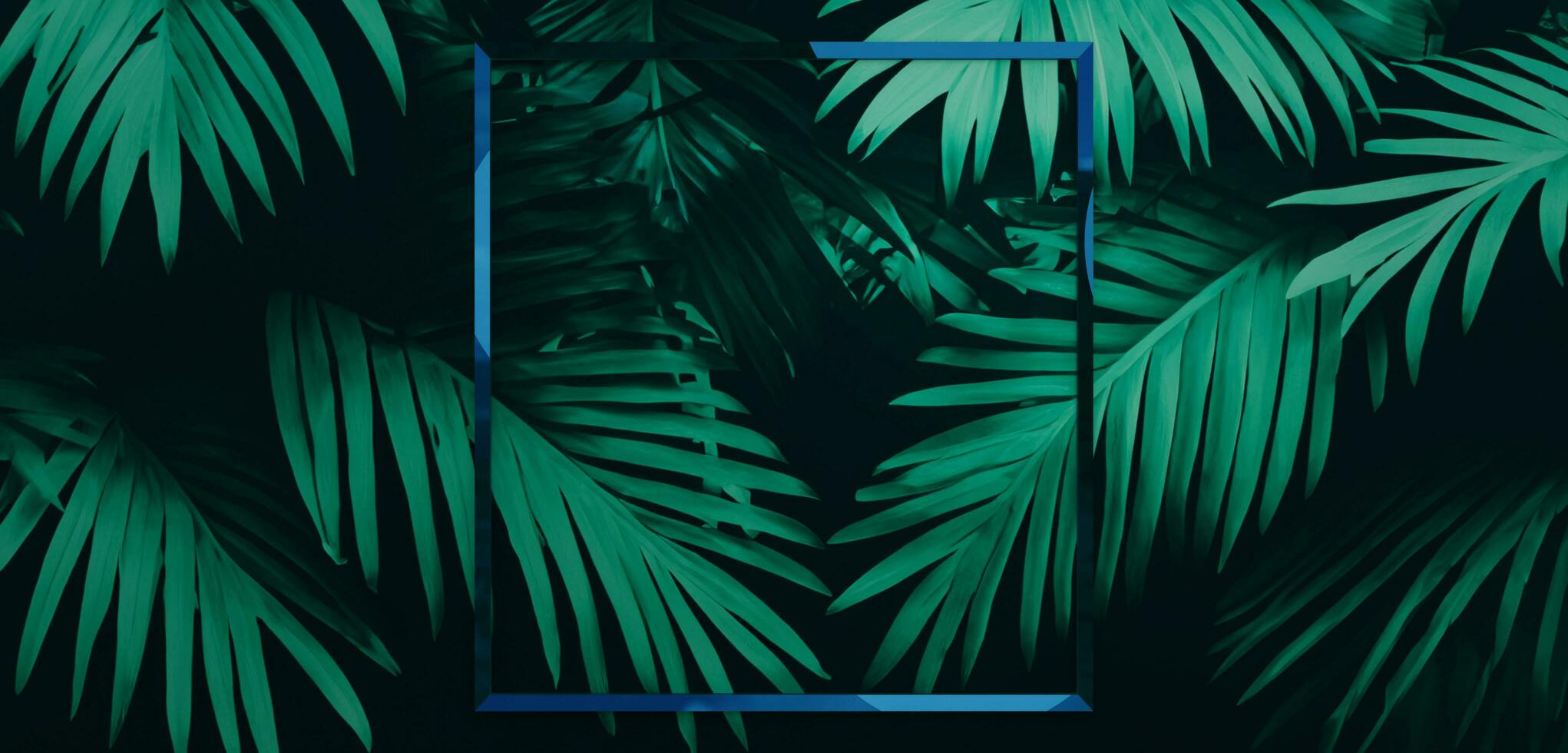 kader en bladeren spathiphyllum cannifolium concept groen abstract structuur met kader natuur achtergrond tropisch bladeren in Azië en Thailand 3d illustratie foto