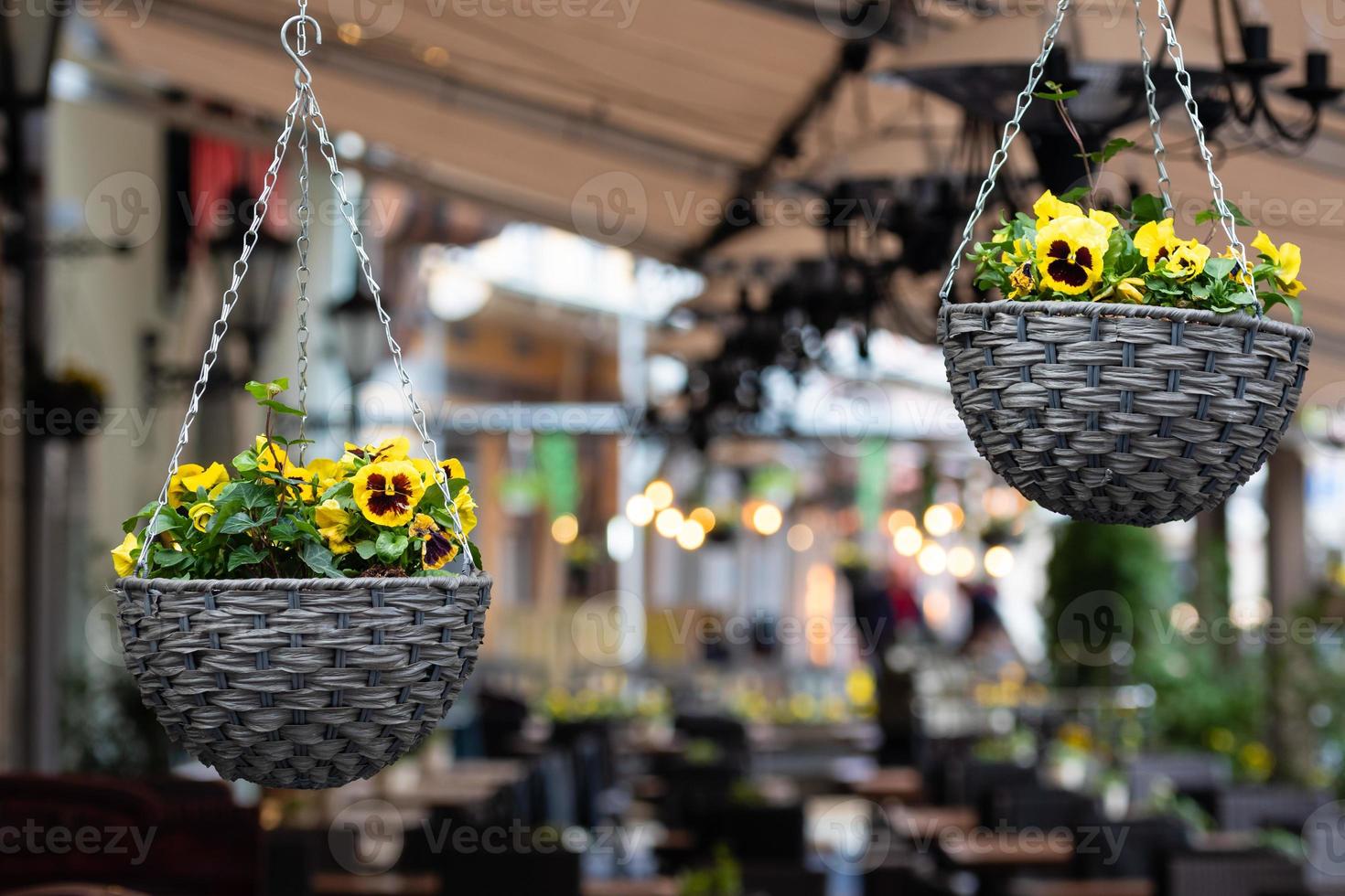 pot met kleurrijke viooltjesbloemen foto