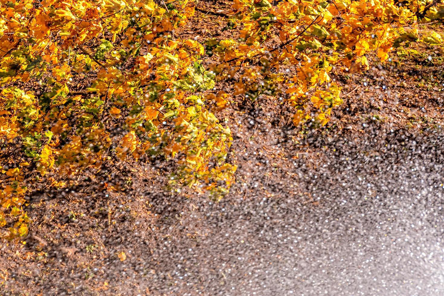 water spetterend in het herfstpark foto