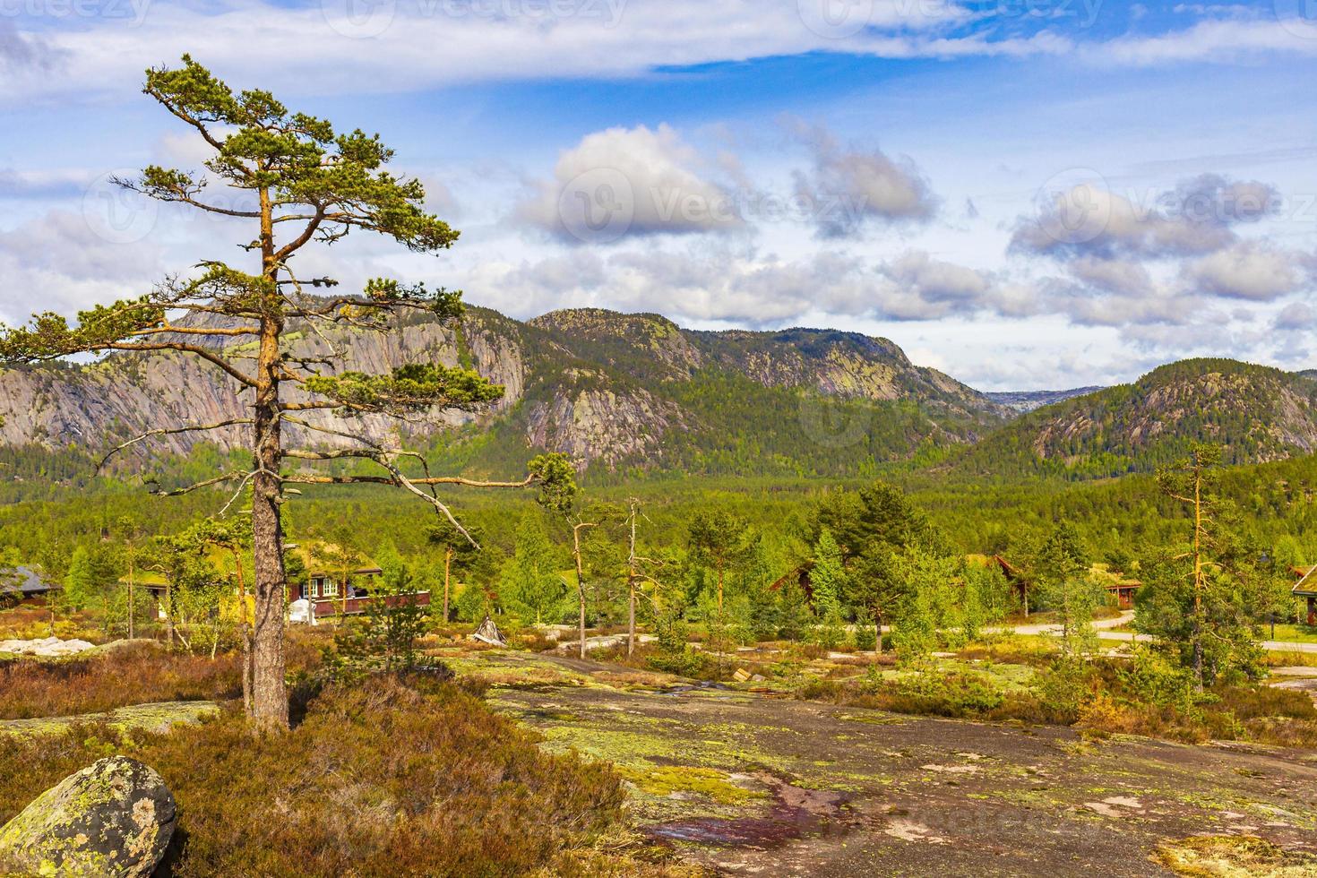 panorama met sparren en bergen natuur landschap nissedal noorwegen. foto