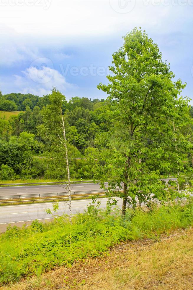 rustplaats tussen bomen op de snelweg ergens in zweden. foto