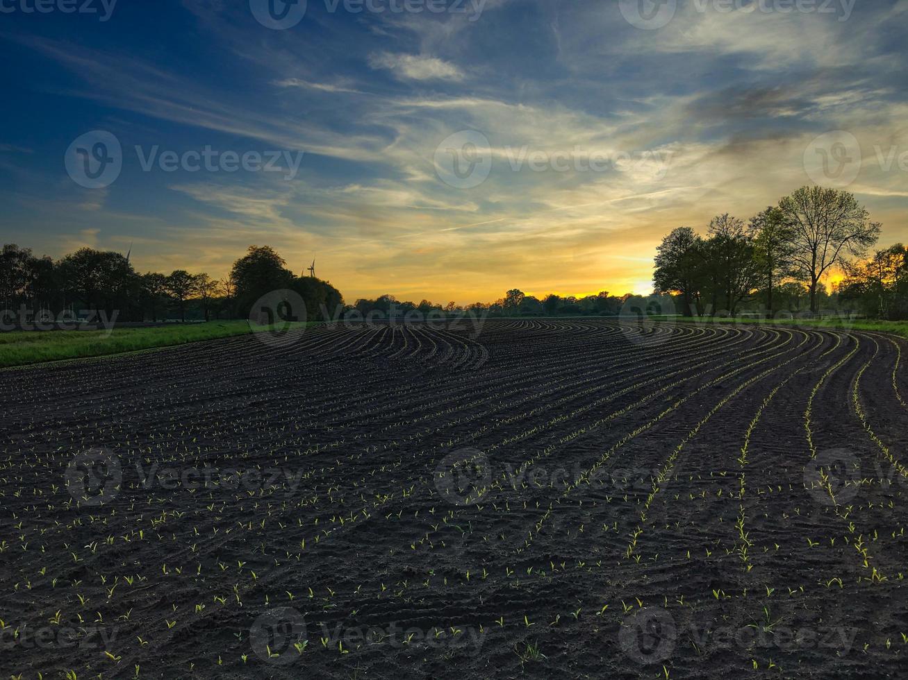 een landelijke scène van een veld tijdens zonsondergang in duitsland foto