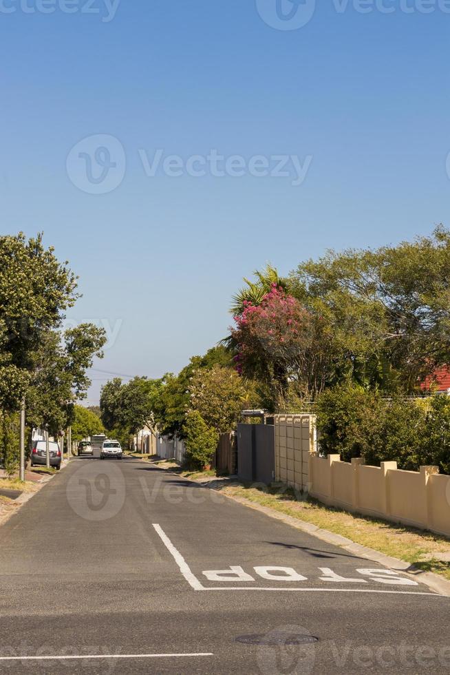 straat in claremont, kaapstad, zuid-afrika foto