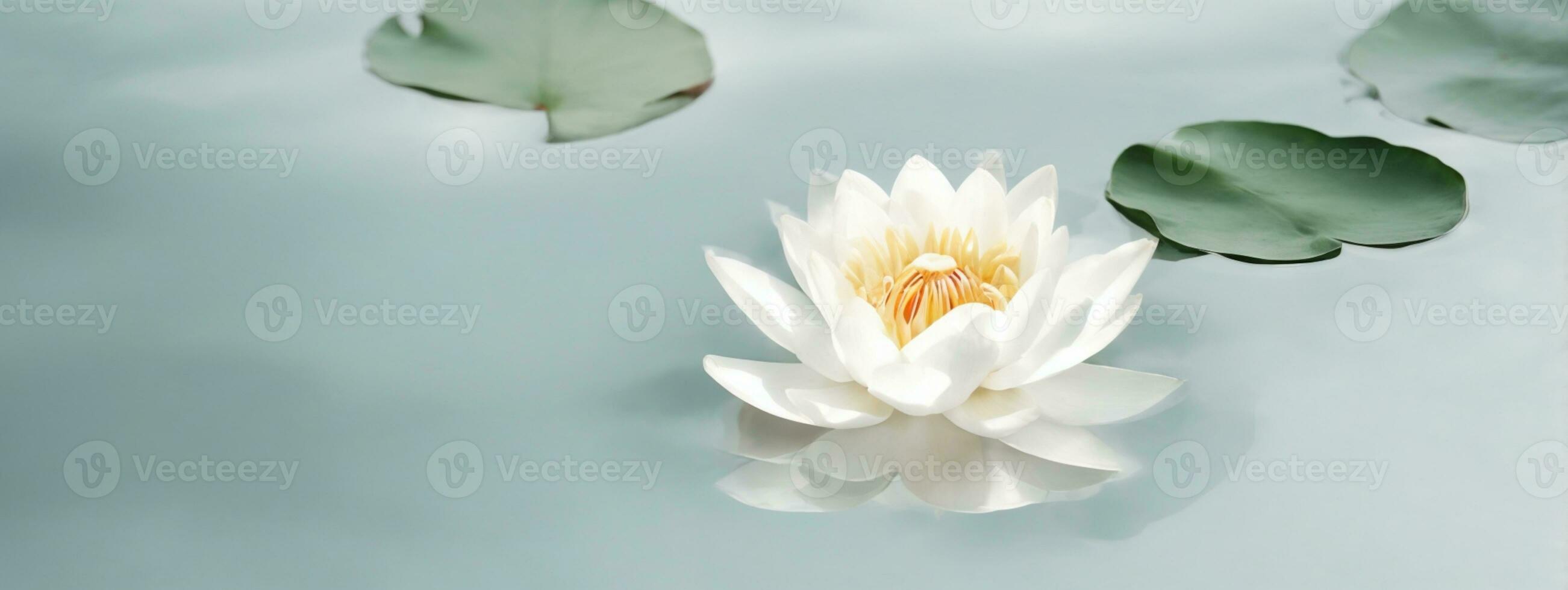 zen bloem lotus in water. ai gegenereerd foto