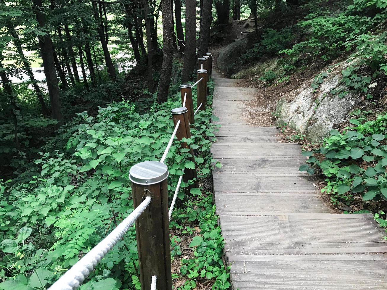 trap naar beneden in het bos. sokcho stad. Zuid-Korea foto
