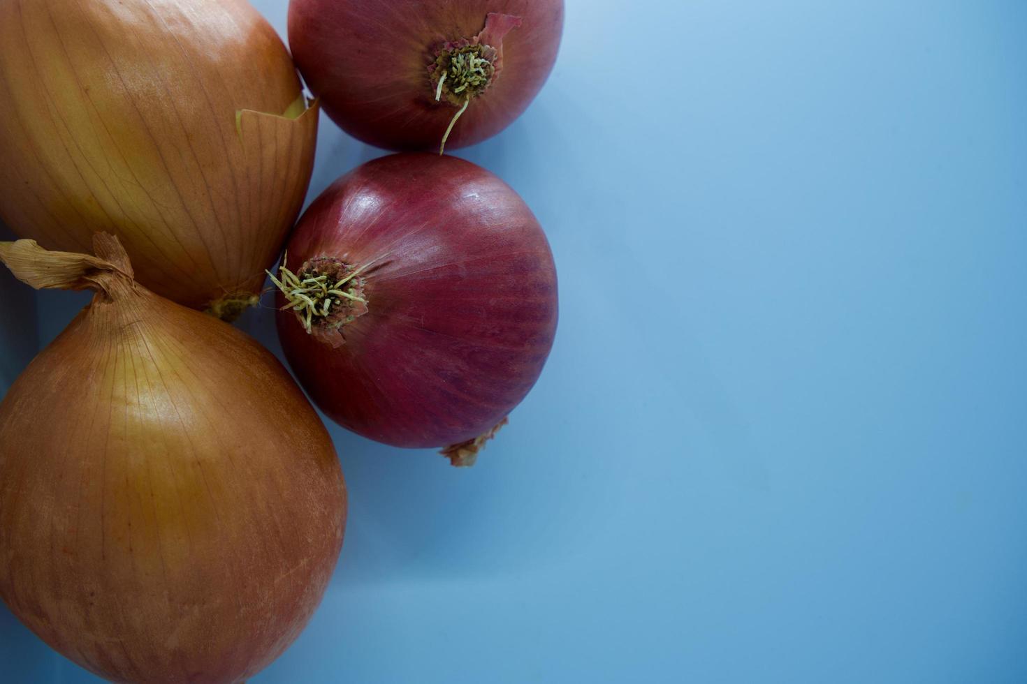 vier uienbollen geïsoleerd op blauwe achtergrond foto