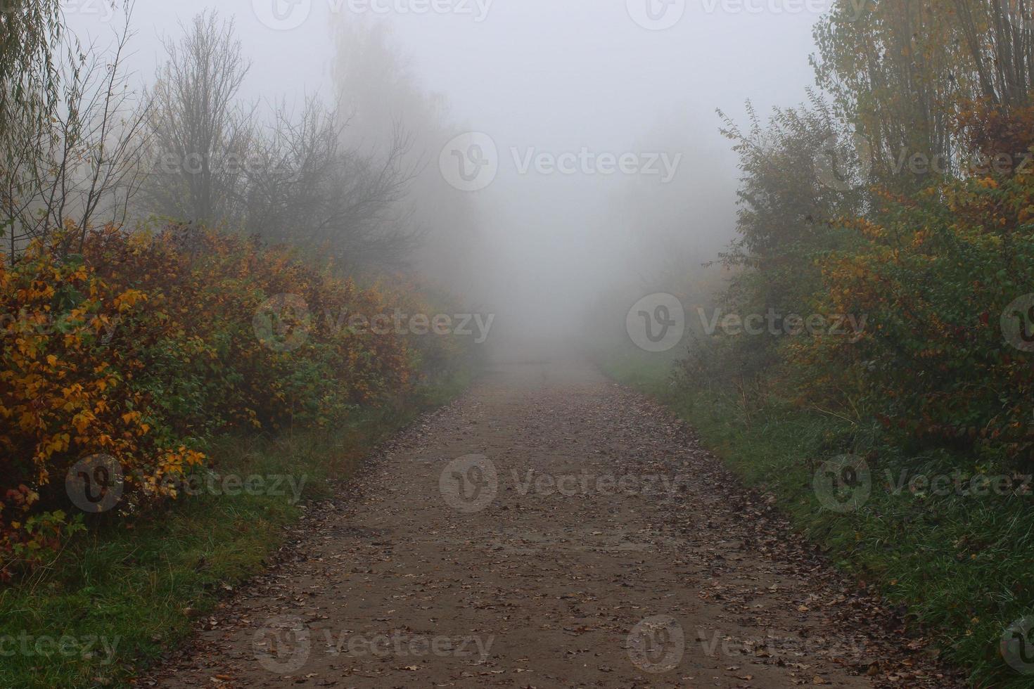 prachtig herfstlandschap. mistig park. foto