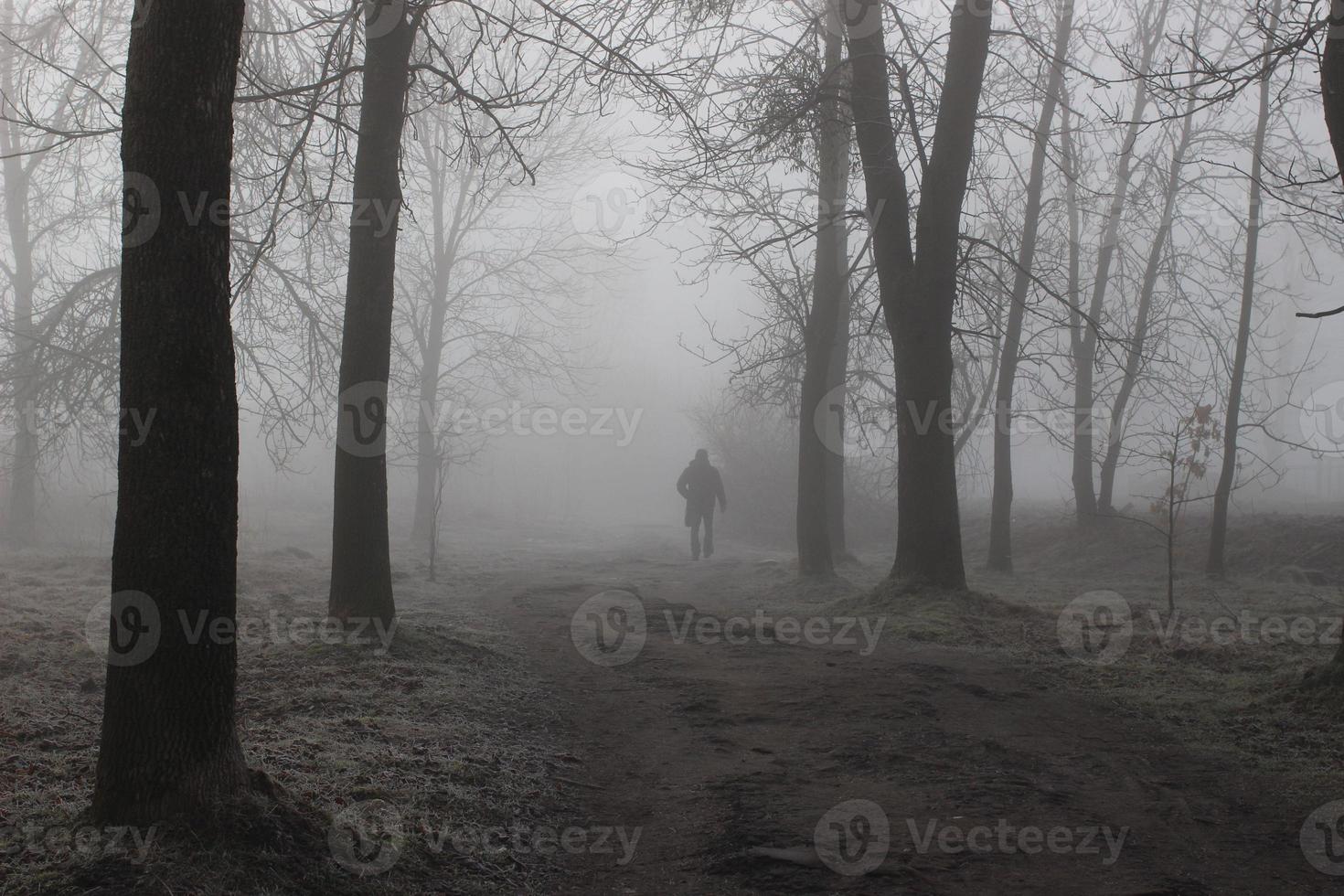 eenzame voorbijganger in een mistig herfstpark. de weg naar het onbekende. mystieke landschap. foto