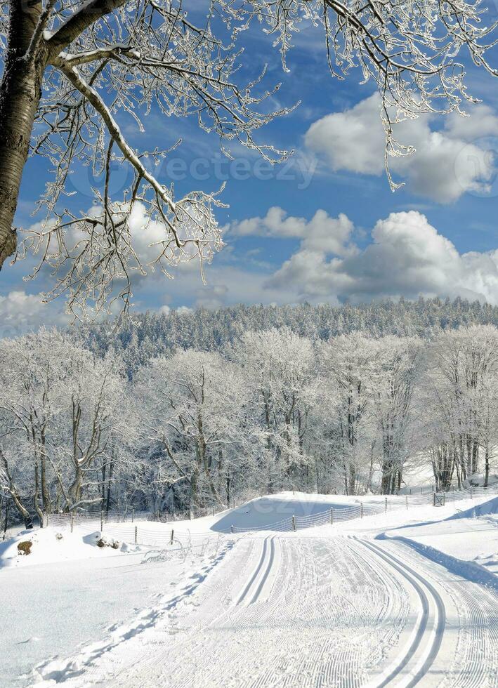 winter in Beiers bos, beieren, duitsland foto