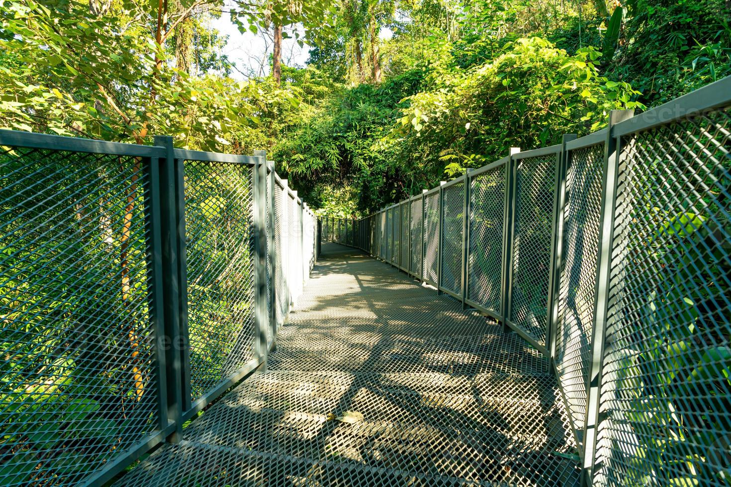 loop weg in het bos bij baldakijn wandelingen bij koningin sirikit botanische tuin chiang mai, thailand foto