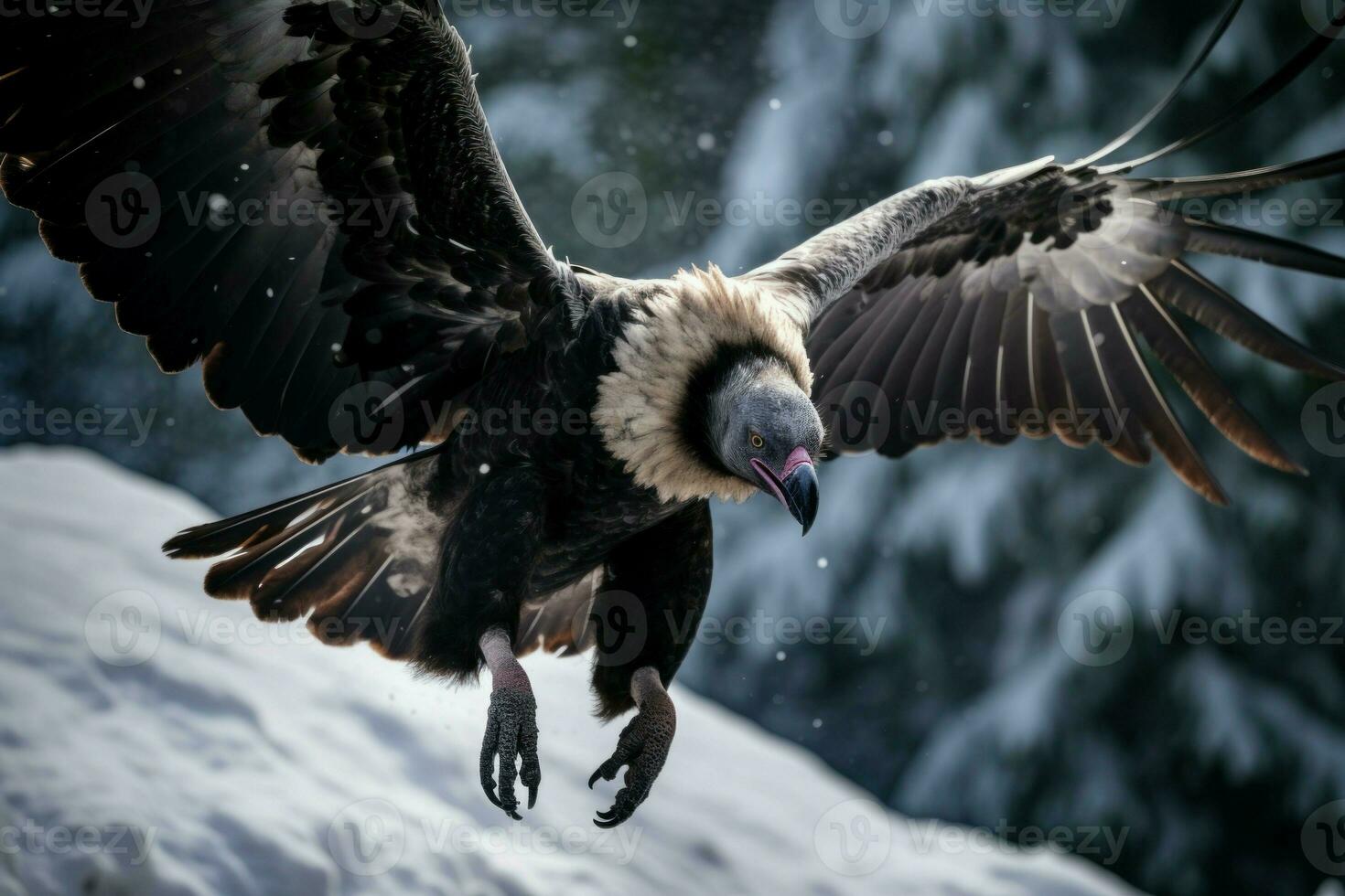 condor vliegend bergen. genereren ai foto