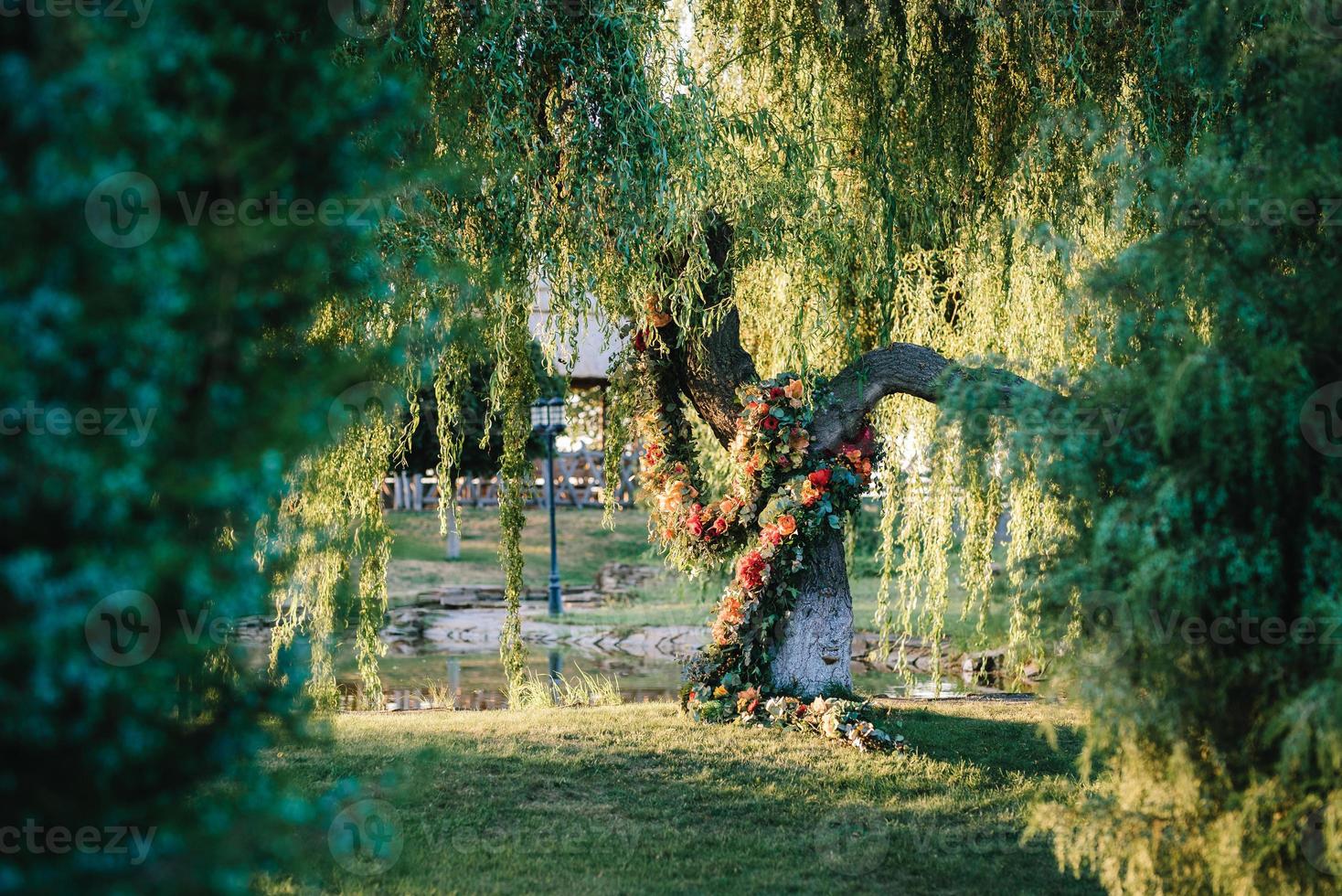 huwelijksceremonie gebied, boog stoelen decor foto