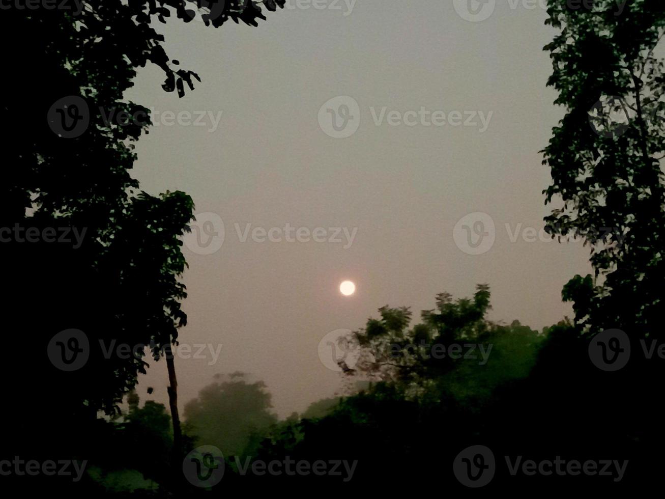 avondzon op lucht en boom foto