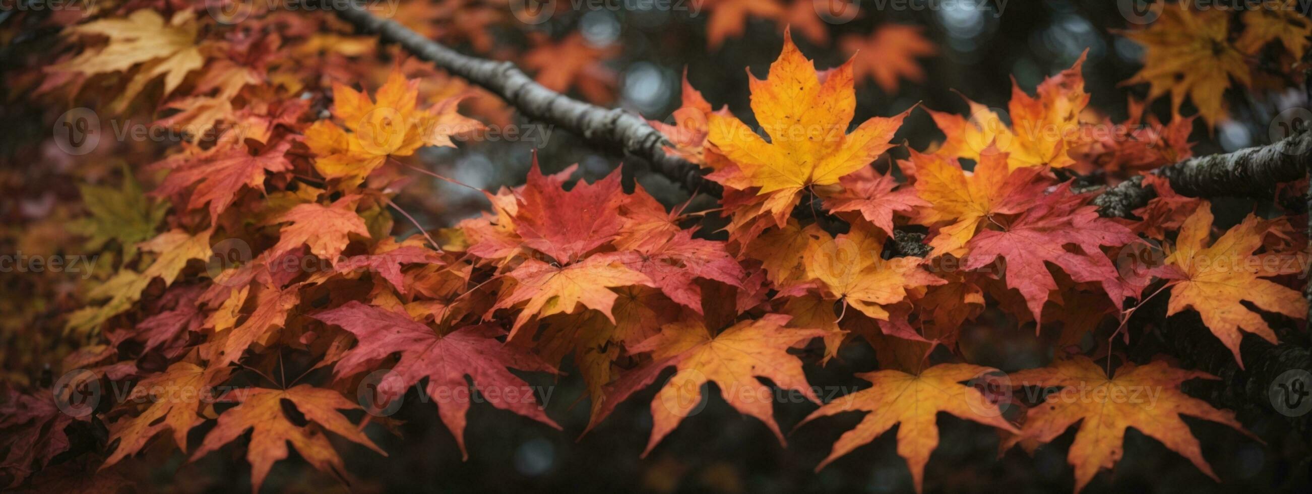 kleurrijk herfst esdoorn- bladeren Aan een boom Afdeling. ai gegenereerd foto