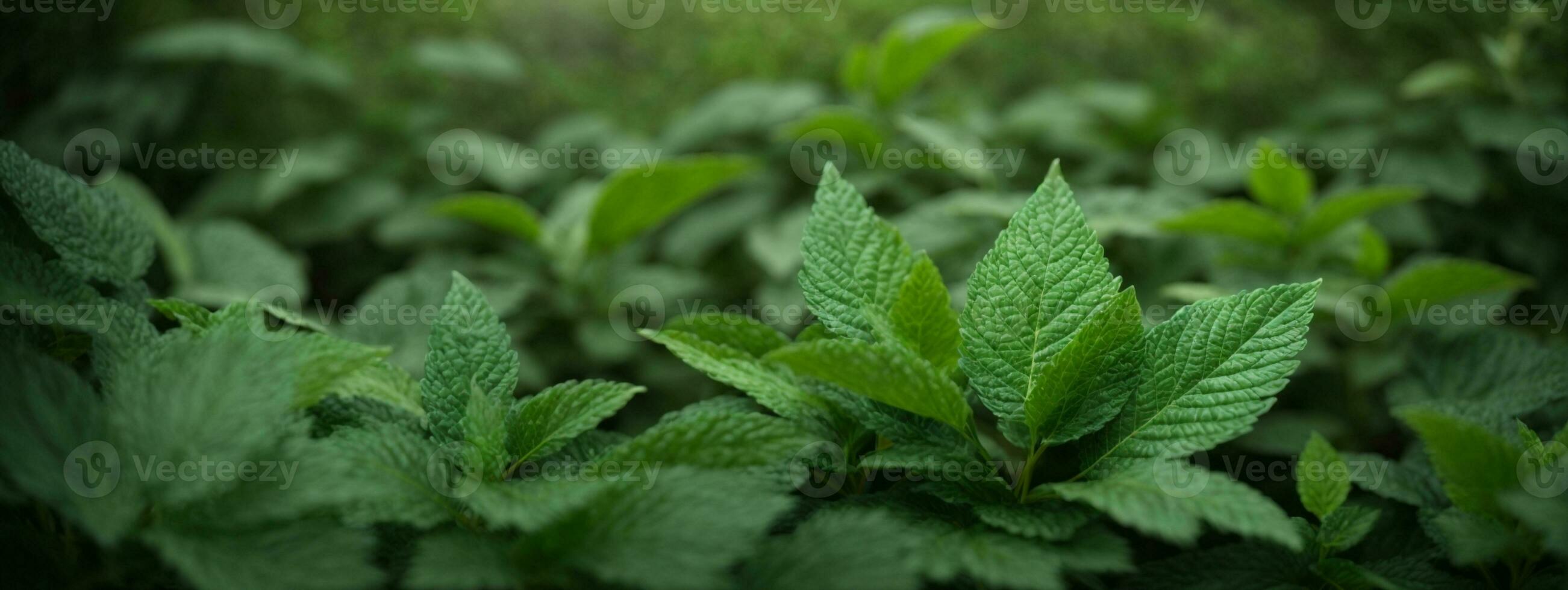 groen gebladerte textuur. ai gegenereerd foto