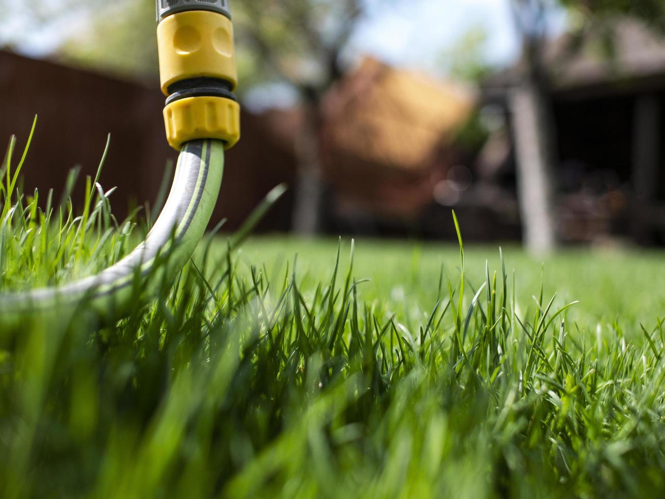 groen gras en waterslang. een huis en een tuin. ongemaaid gras foto