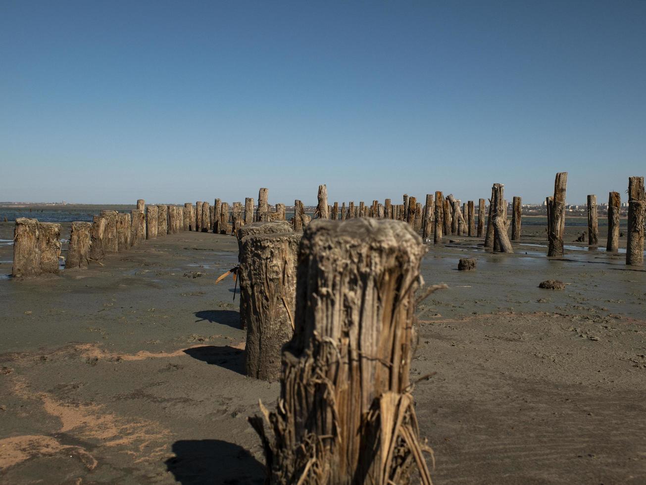 houten bolders in het zand tegen de monding en de blauwe lucht. Kuyalnitsky-estuarium foto