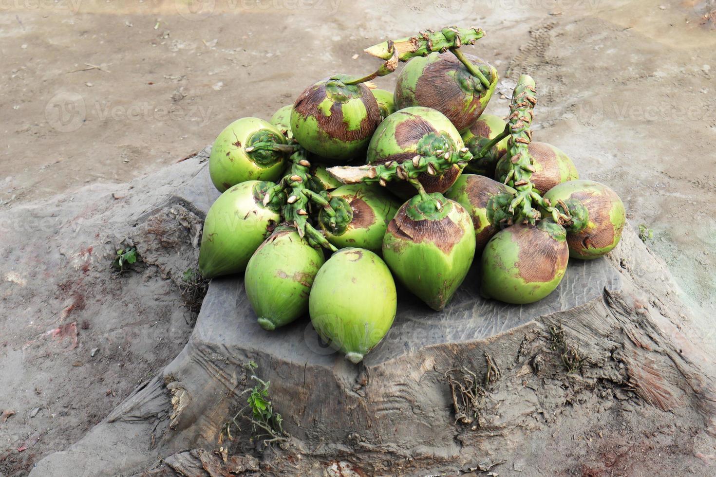 groen gekleurde rauwe kokosbouillon foto