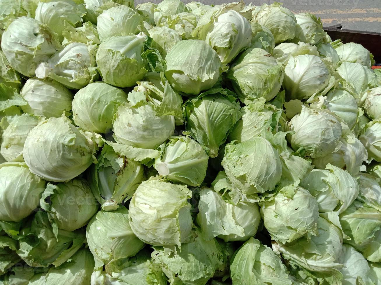 verse en gezonde groen gekleurde koolvoorraad in de winkel foto