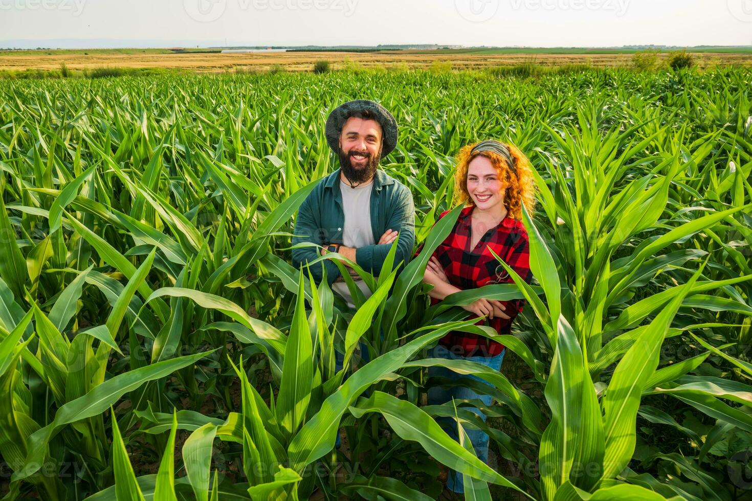 familie agrarisch bezigheid. Mens en vrouw zijn cultiveren maïs. ze zijn tevreden met mooi zo vooruitgang van planten. foto