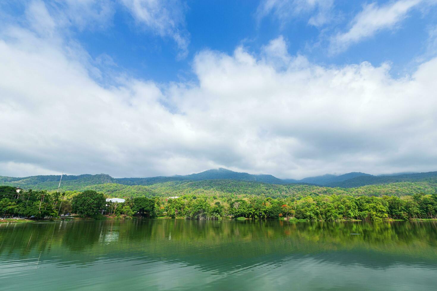 bergketen bos met het reservoir blauwe hemelachtergrond in ang kaew chiang mai universiteit, thailand. foto