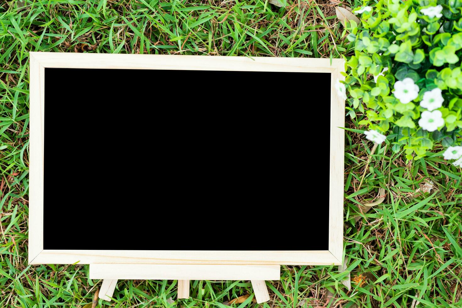 leeg houten schoolbord en bloempot in plein vorm Aan groen gras in de park achtergrond. foto