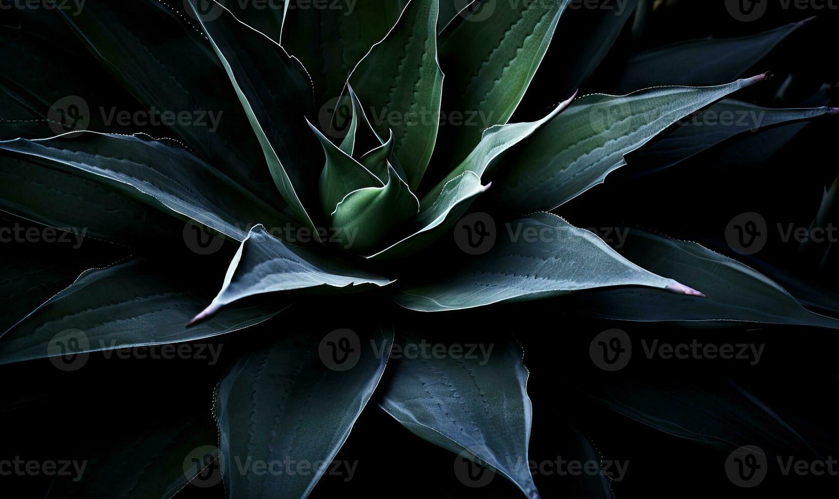 tropisch vetplanten behang. getextureerde blauw agave spandoek. voor ansichtkaart, boek illustratie. gemaakt met generatief ai gereedschap foto