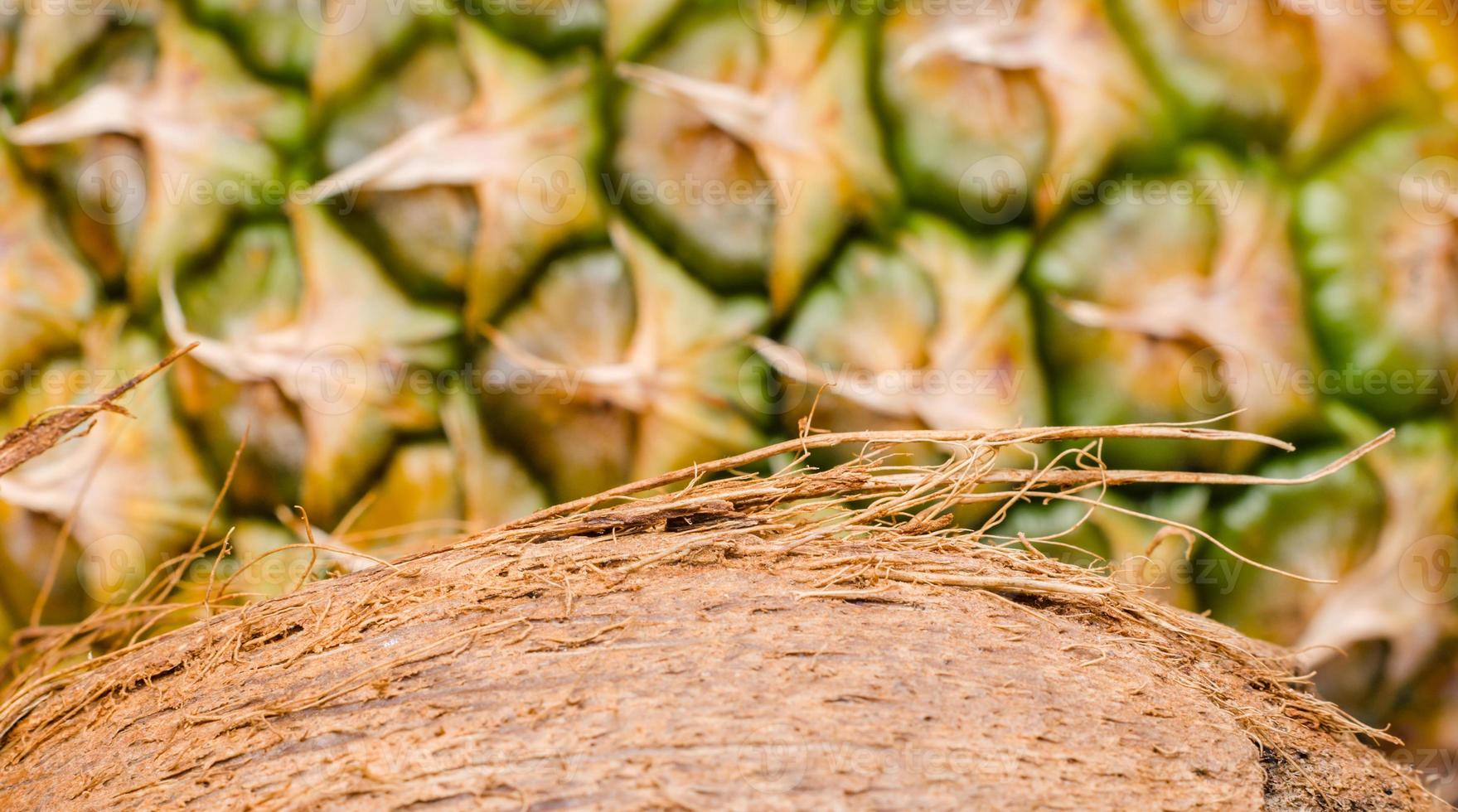 kokosnoot plakje op ananas achtergrond close-up macro foto
