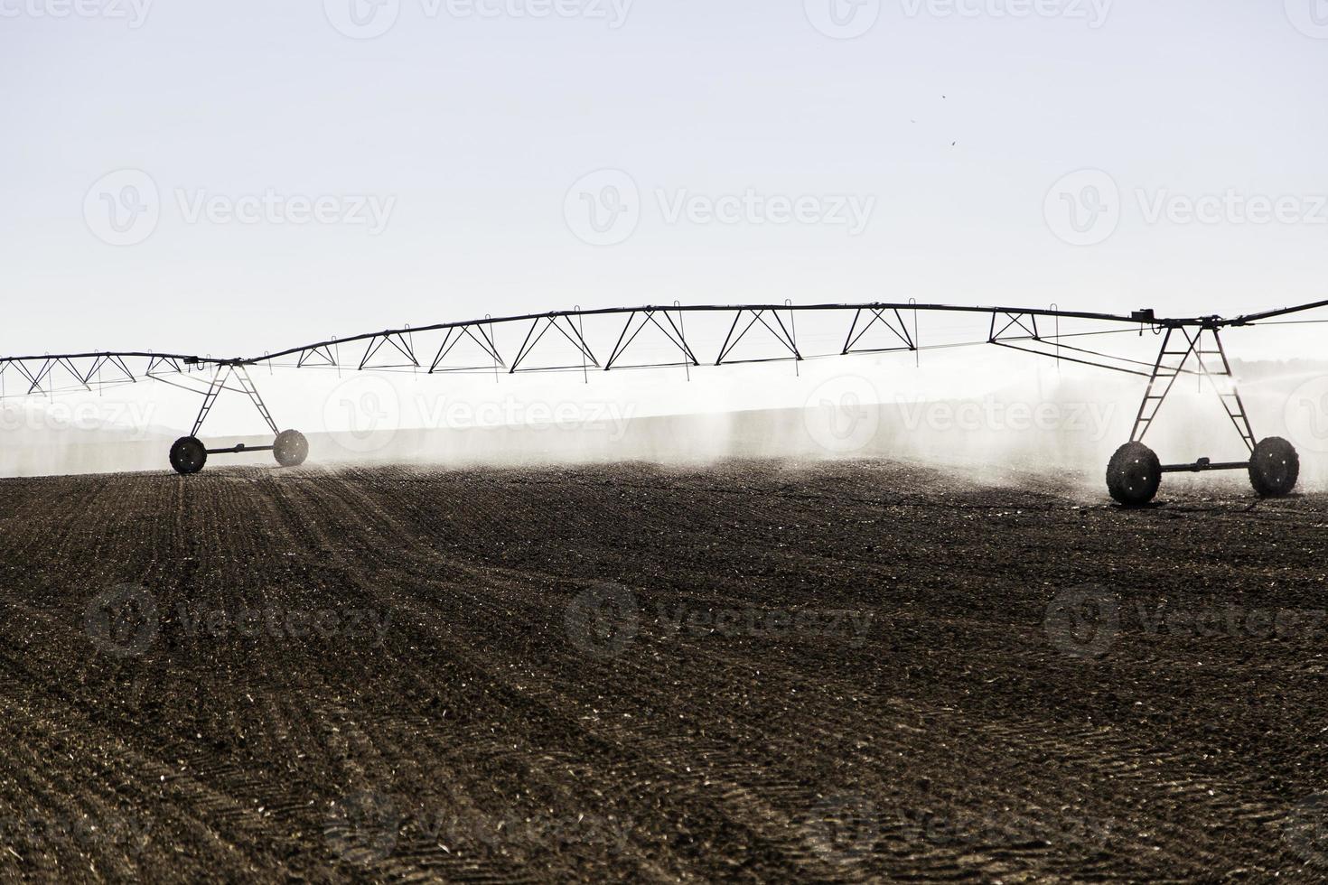 automatisch irrigatiesysteem in een graanveld foto