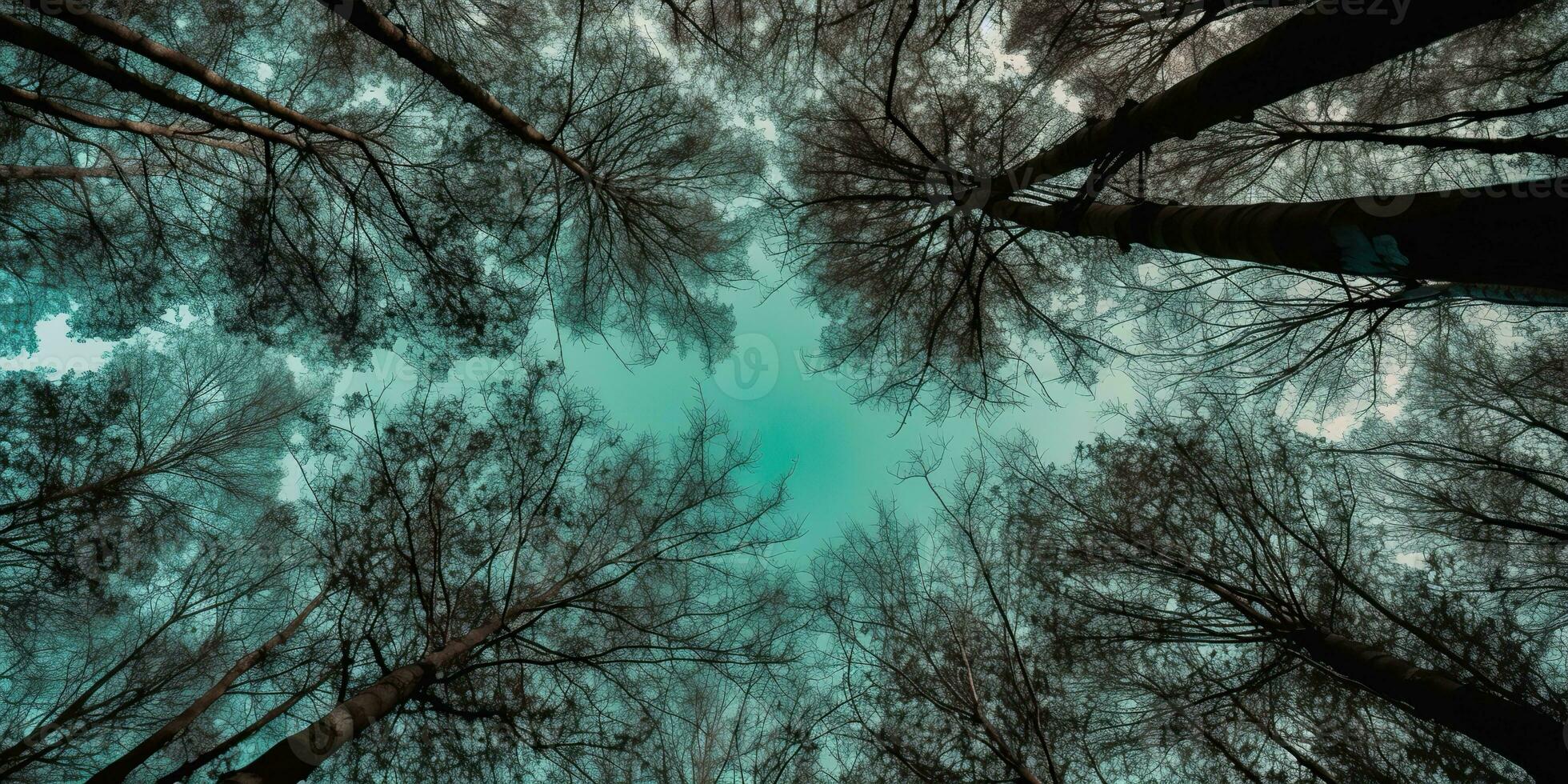 ai gegenereerd. ai generatief. natuur wild buitenshuis Woud bomen op zoek omhoog visie met zonnig straal. avontuur reizen trekking inspiratie. grafisch kunst foto