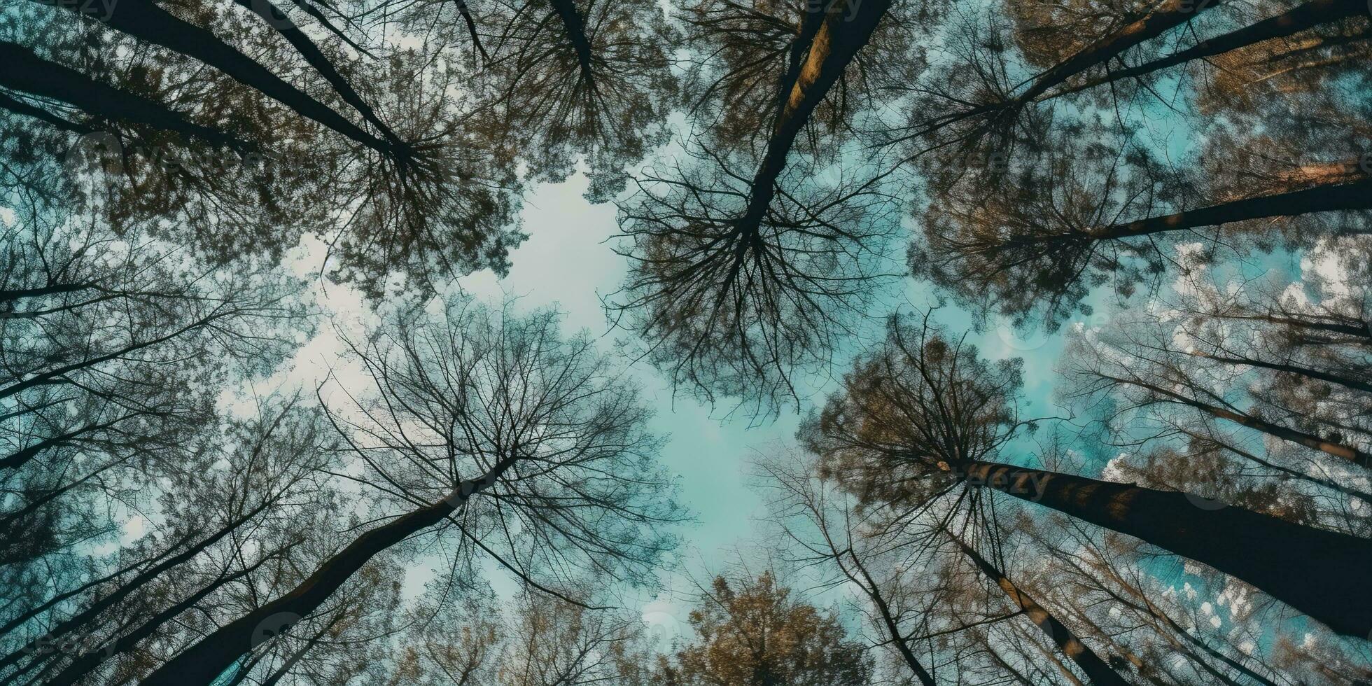 ai gegenereerd. ai generatief. natuur wild buitenshuis Woud bomen op zoek omhoog visie met zonnig straal. avontuur reizen trekking inspiratie. grafisch kunst foto