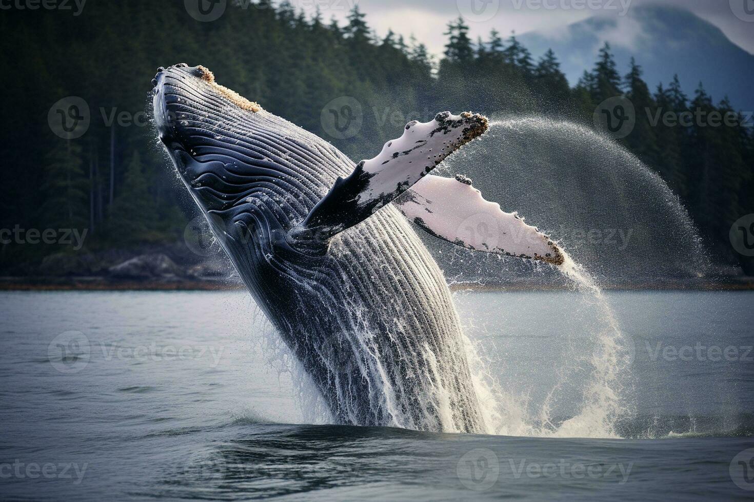 gebochelde walvis springt uit van de water. generatief door ai foto