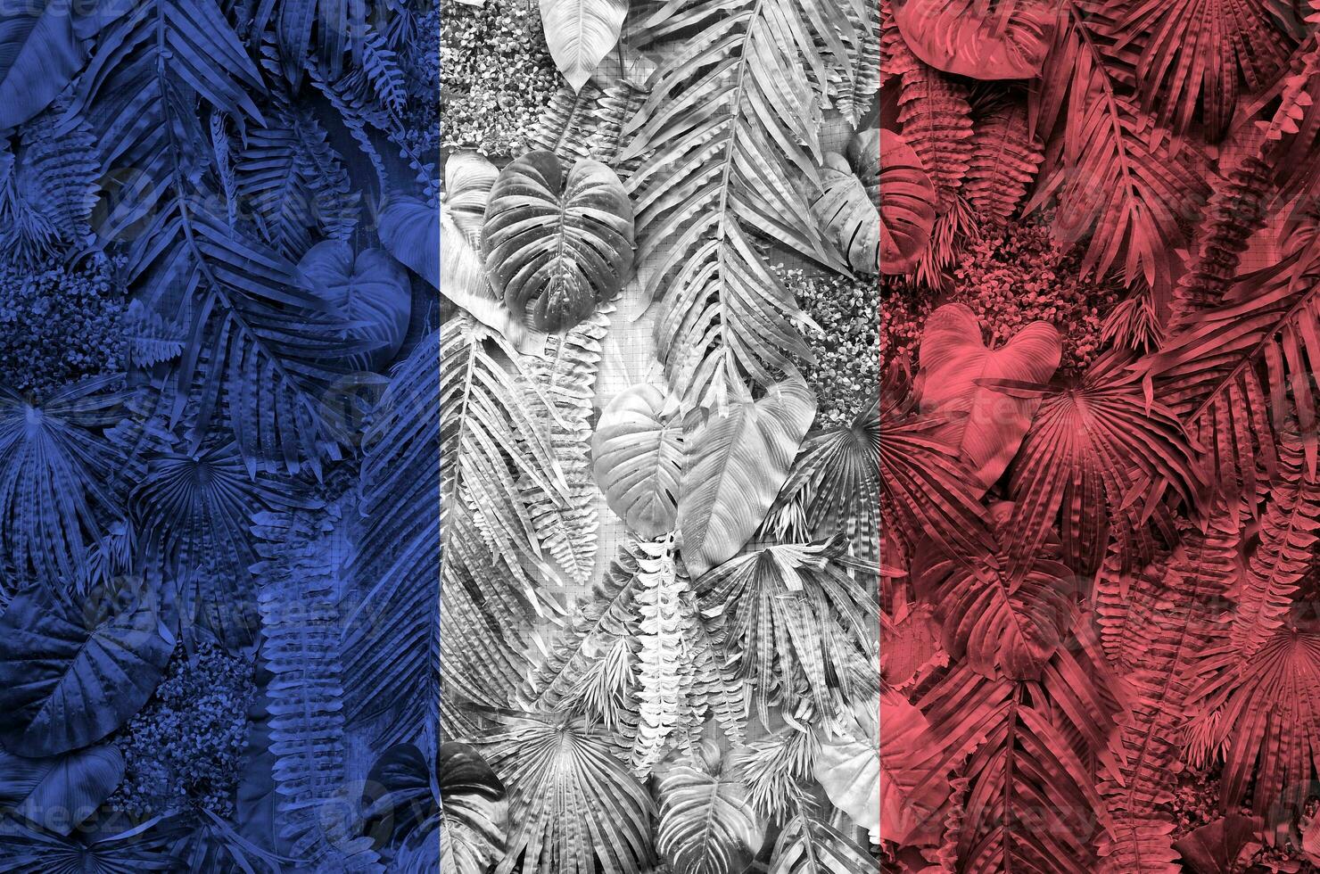 Frankrijk vlag afgebeeld Aan veel doorbladert van monstera palm bomen. modieus modieus backdrop foto