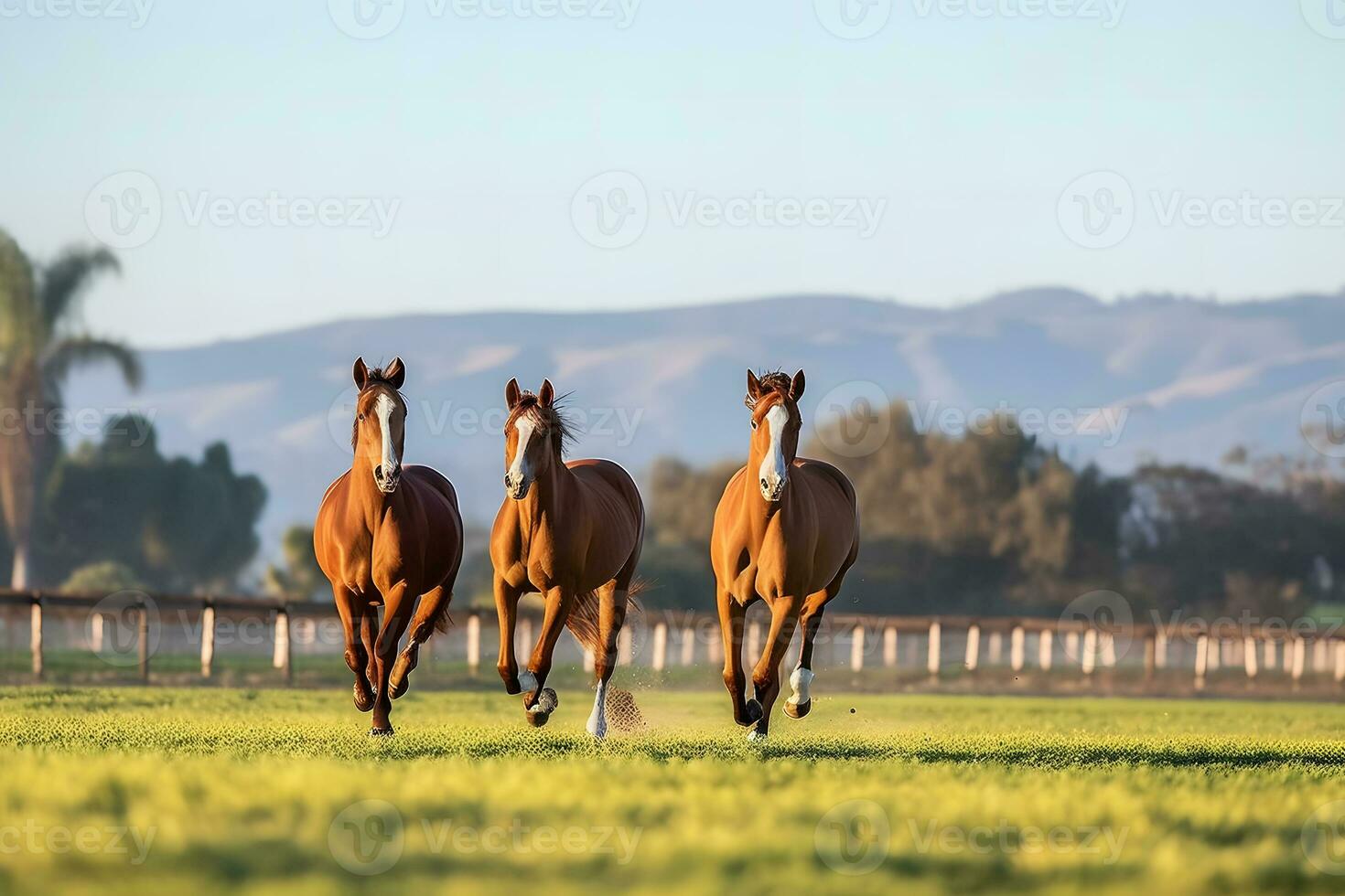 paarden vrij rennen Aan woestijn storm tegen zonsondergang lucht. neurale netwerk ai gegenereerd foto