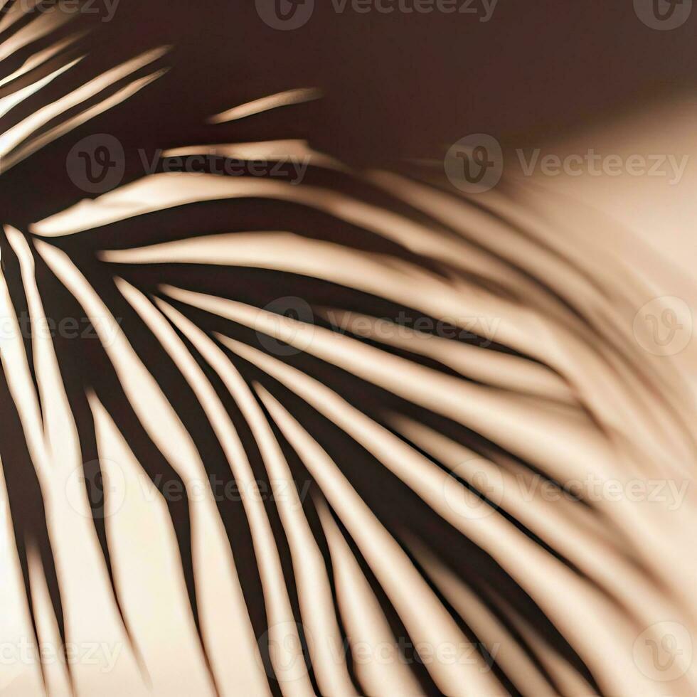 mooi abstract banier met groen palm bladeren schaduw beige Aan een wit achtergrond. natuurlijk blad concept. groen natuurlijk achtergrond. palm boom blad textuur. zomer concept. abstract. generatief ai foto