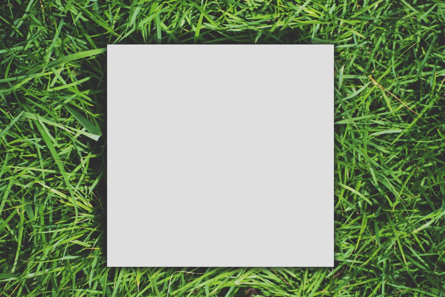 papieren kaart witte sjabloon mockup lege kopie ruimte op een groen gras foto