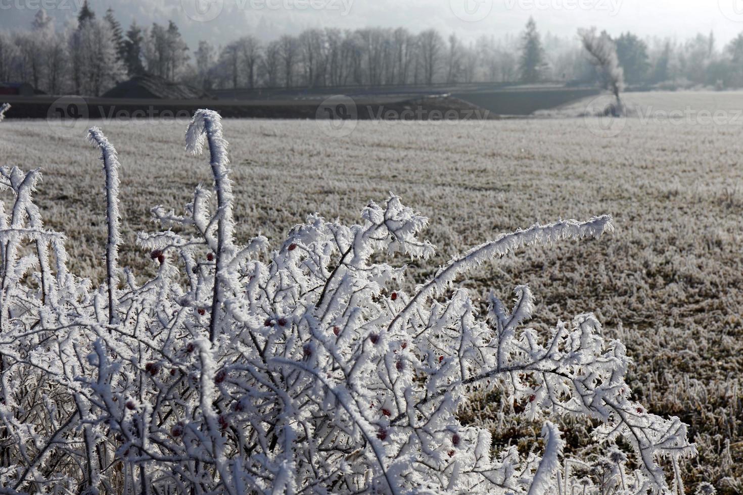 prachtig sprookjesachtig besneeuwd winterlandschap met blauwe lucht in centraal bohemen, tsjechië foto