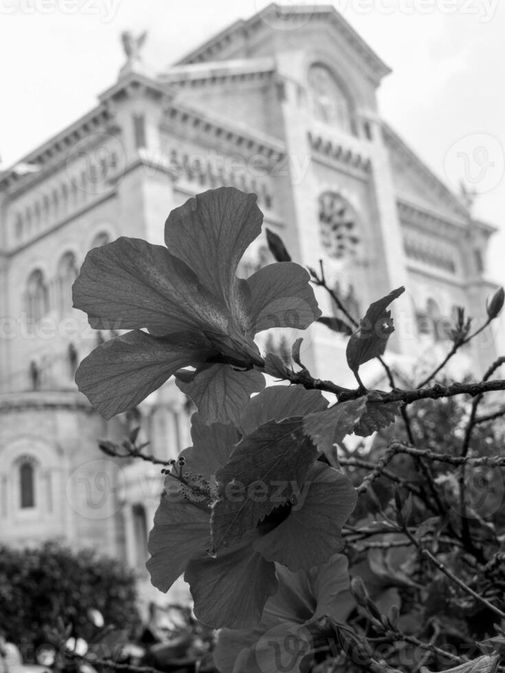 de stad van monte carlo foto