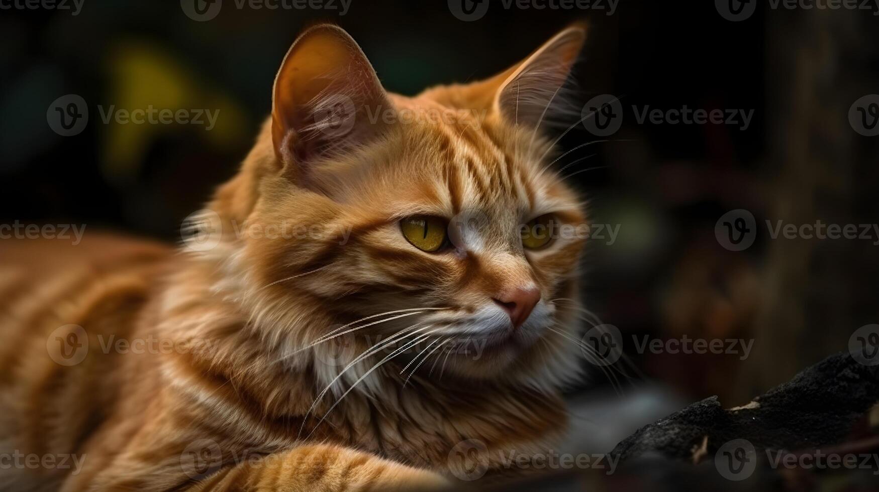 exotisch oranje gestreept kat ras huisdier zittend Bij de natuur achtergrond. ai gegenereerd. foto