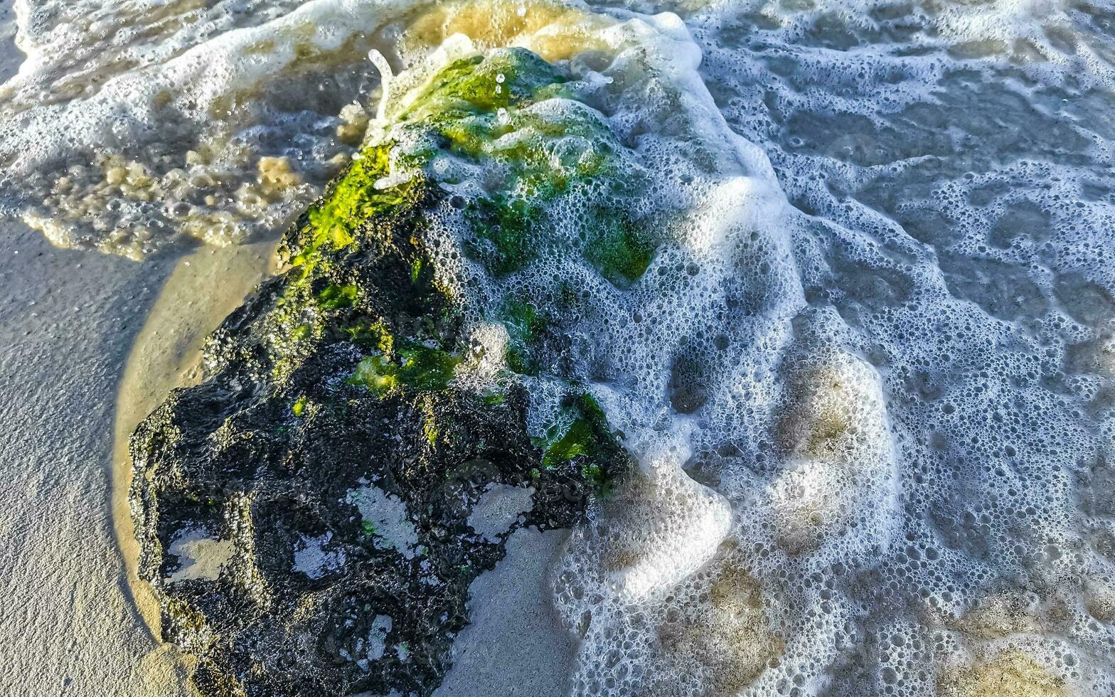 stenen rotsen koralen turkoois groen blauw water Aan strand Mexico. foto