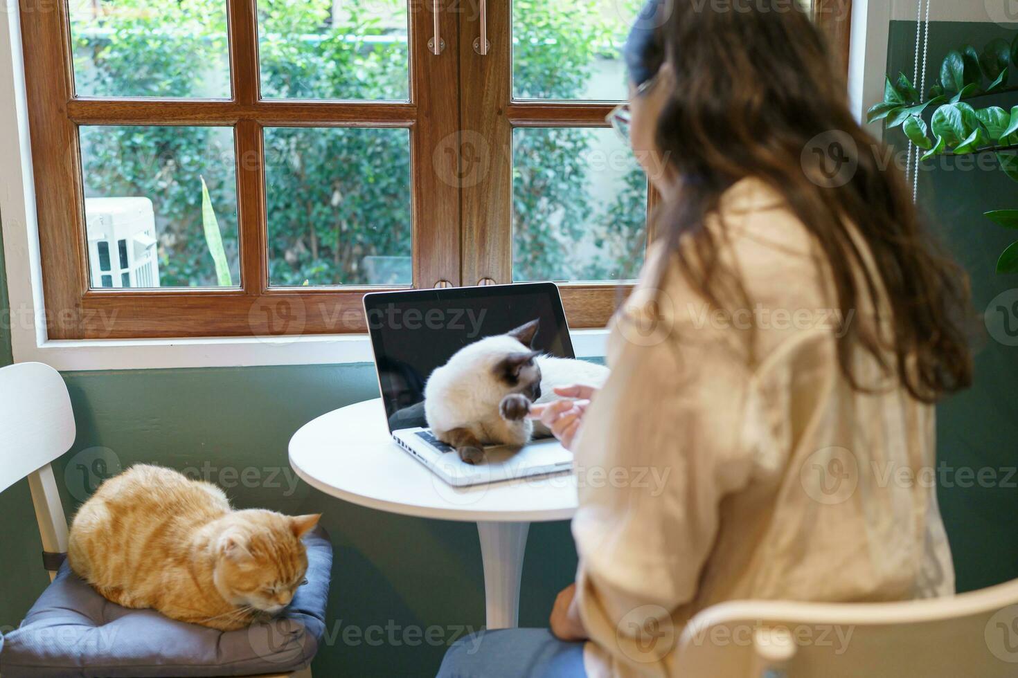 vrouw werken van huis met kat. kat in slaap Aan de laptop toetsenbord. assistent kat werken Bij laptop foto