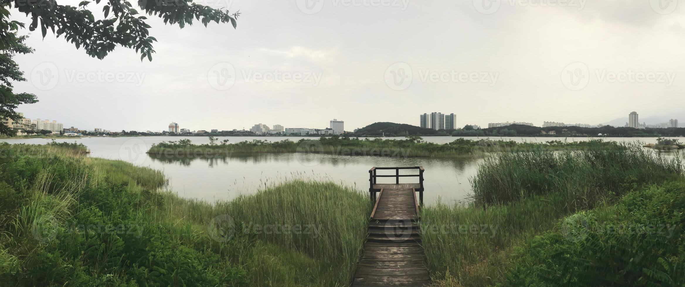 panorama. de houten pier begroeid met riet op het meer van de stad Sokcho. Zuid-Korea foto