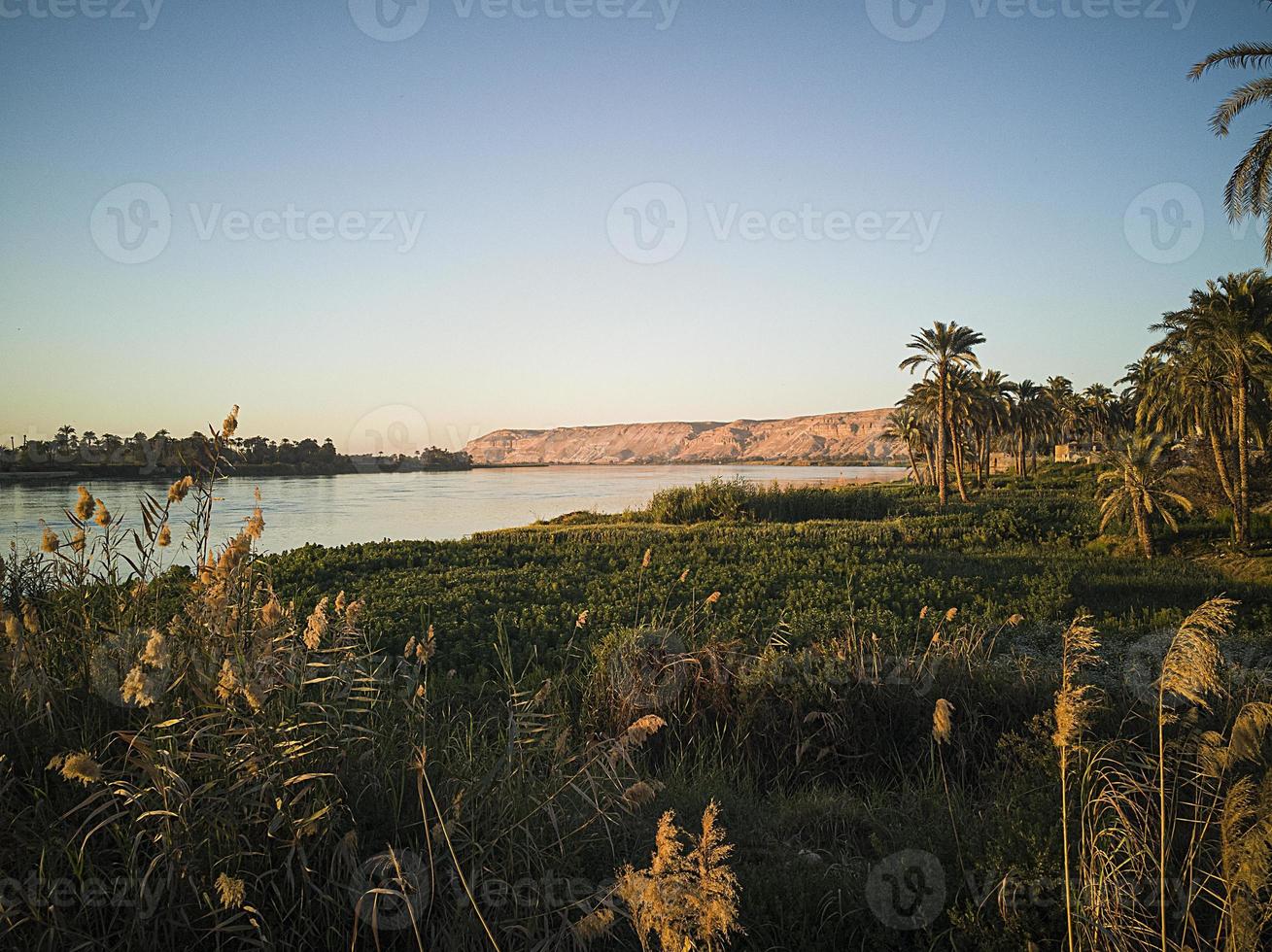groen veld aan de rivier de nijl, egypte foto