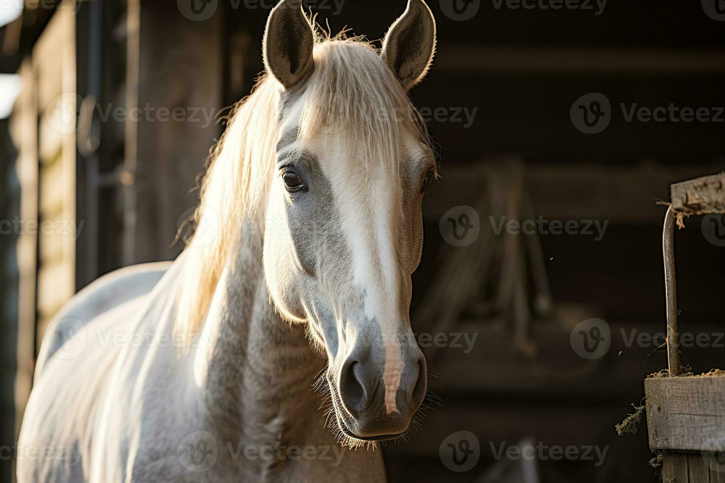 portret van een mooi wit paard in een kraam in een houten schuur, generatief ai foto