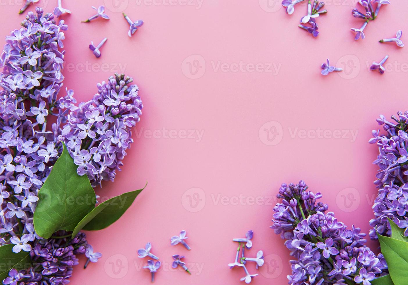 frame van takken en bloemen van lila foto