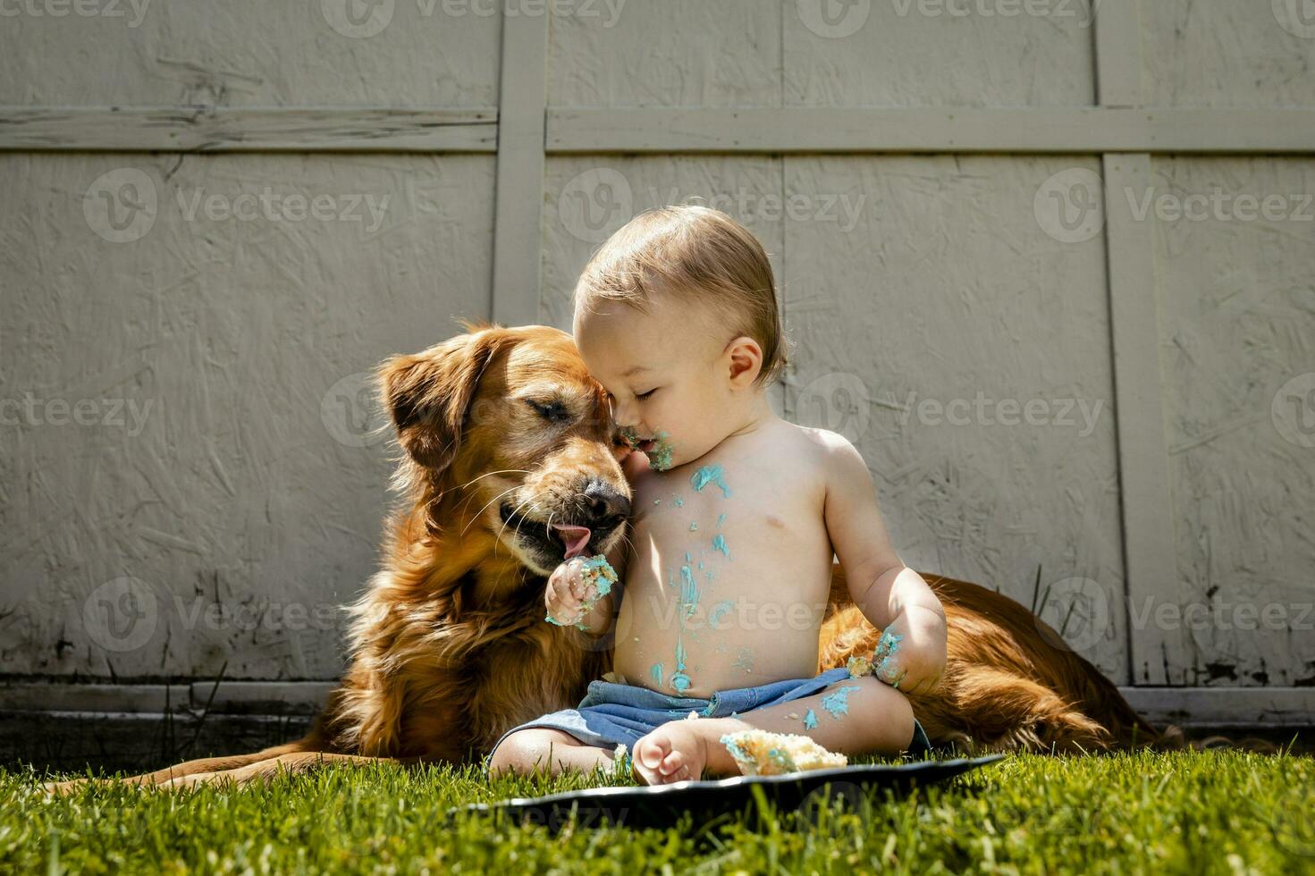 zonder shirt baby jongen met gouden retriever aan het eten verjaardag taart Aan met gras begroeid land- in werf foto